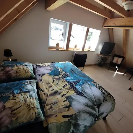 Naturregion Sieg Bis 6 Personen Holiday home *